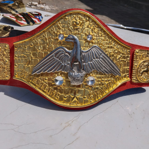 3D CASTED BElTS 13