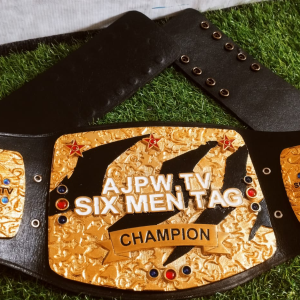 3D CASTED BELTS 29