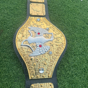 3D CASTED BELTS 31