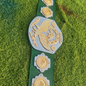 3D CASTED BELTS