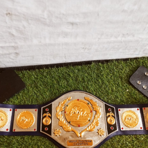 3D CASTED BELTS