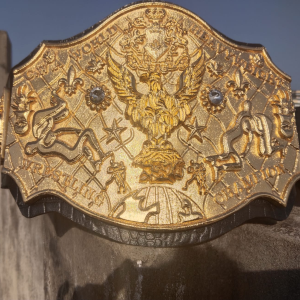 3D CASTED BElTS 5