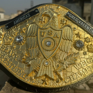 3D CASTED BElTS 7