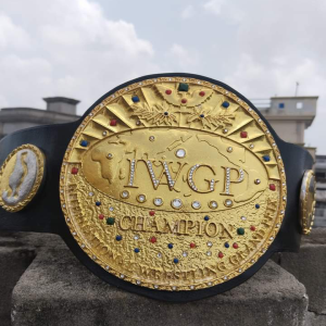 3D CASTED BElTS 8